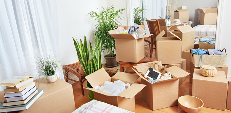 Your Life in a Box: Choosing the best container for your possessions