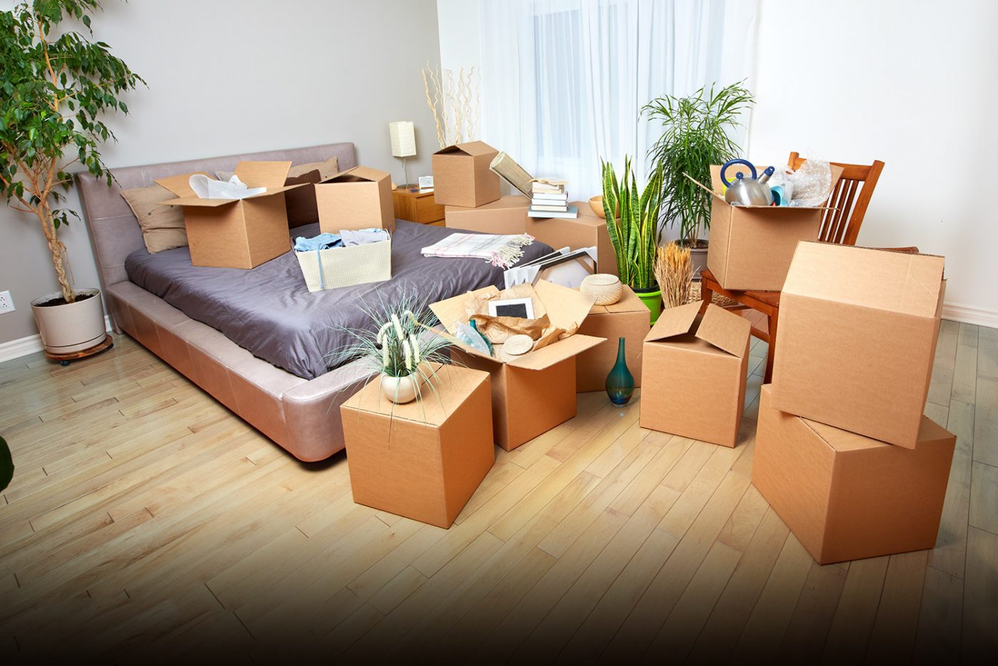 cardboard boxes in room