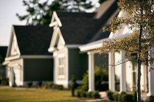 meet the neighbors 