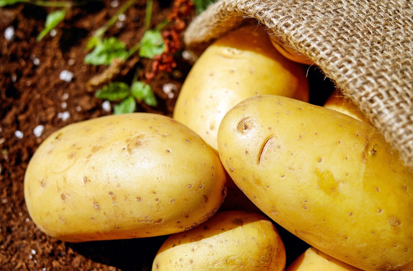 New Neighborhood - Potatoes