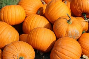 Fall Pumpkins