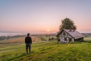 man looking out onto acres of land