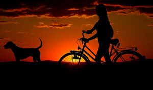 Woman Biking Alongside Dog