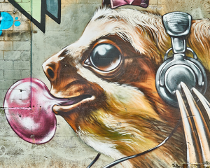 Street Art of Sloth