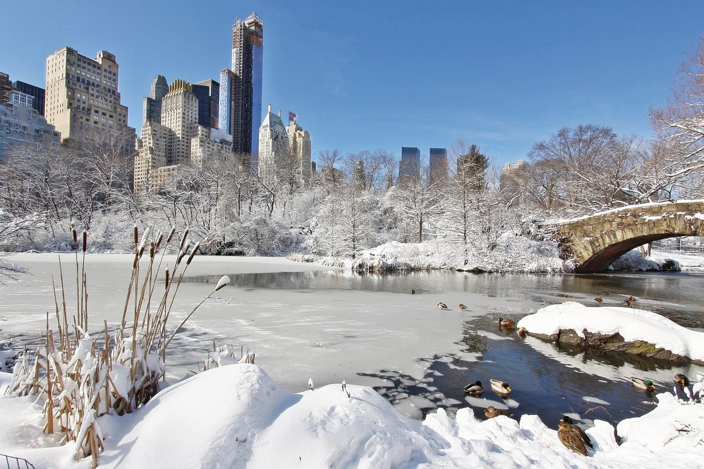 New York City Winter Landscape