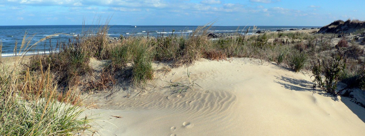 virginia beach