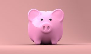 Pink Piggy Bank