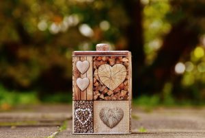 eco-friendly movers shleppers