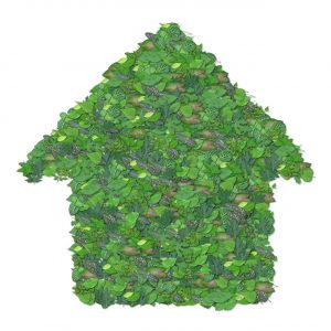 eco-friendly moving company nyc