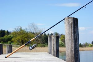 fishing pole