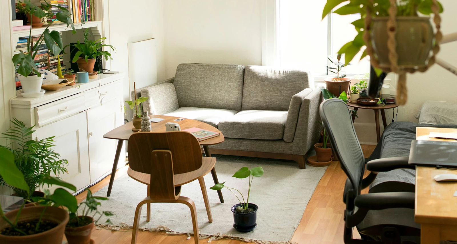 living room space