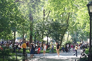 Madison Square Photo