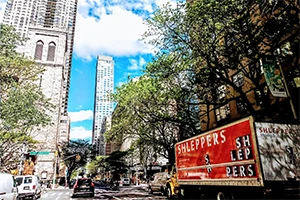 Fall in NYC: Pop-Up Markets, Art Festivals & Neighborhood Vibes